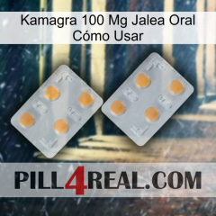 Kamagra 100 Mg Jalea Oral Cómo Usar 25